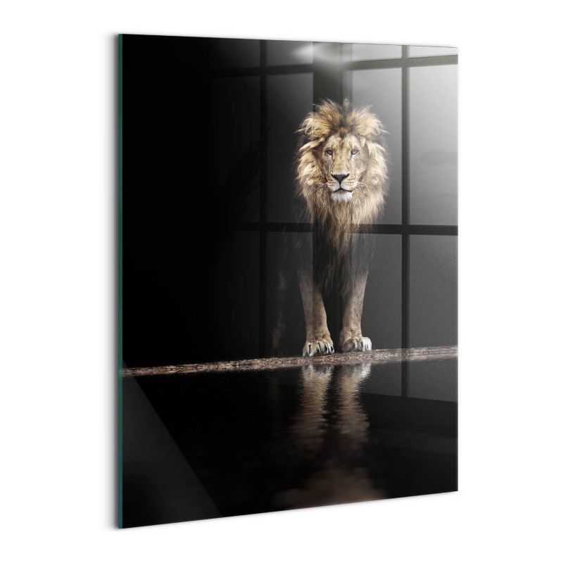 Foto Obraz Ścienny Szklany Wallfluent 60x80 cm Samotne zwierzę dziki lew 1 szt.
