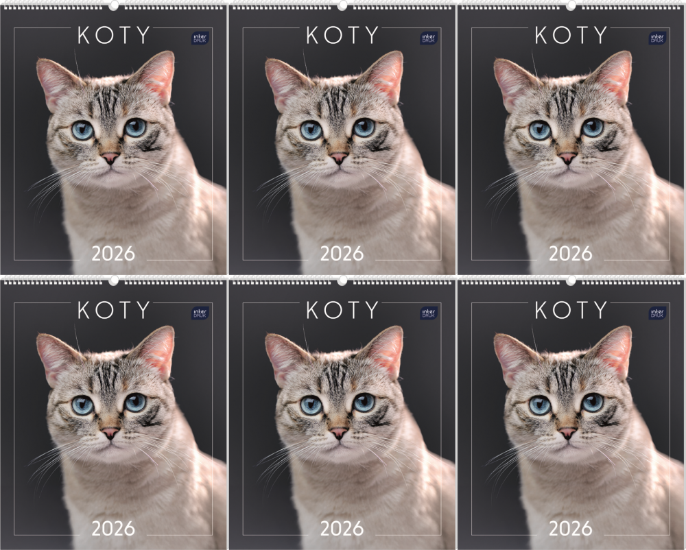 6x Kalendarz ścienny 2026, Interdruk, planszowy, 33.5x40cm, miesięczny, Koty