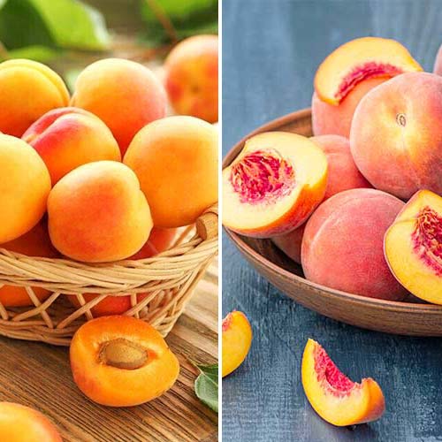 2 saz, Super nabídka! Sada ovocných a bobulovitých produktů, 2 sazenice - : Monžstvo balíkov: 2 saz