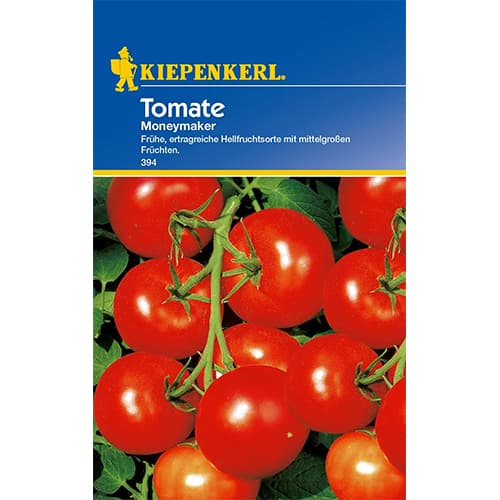 1 szt, Tomate Moneymaker - Samen: Ilość w opakowaniu: 1 Stück