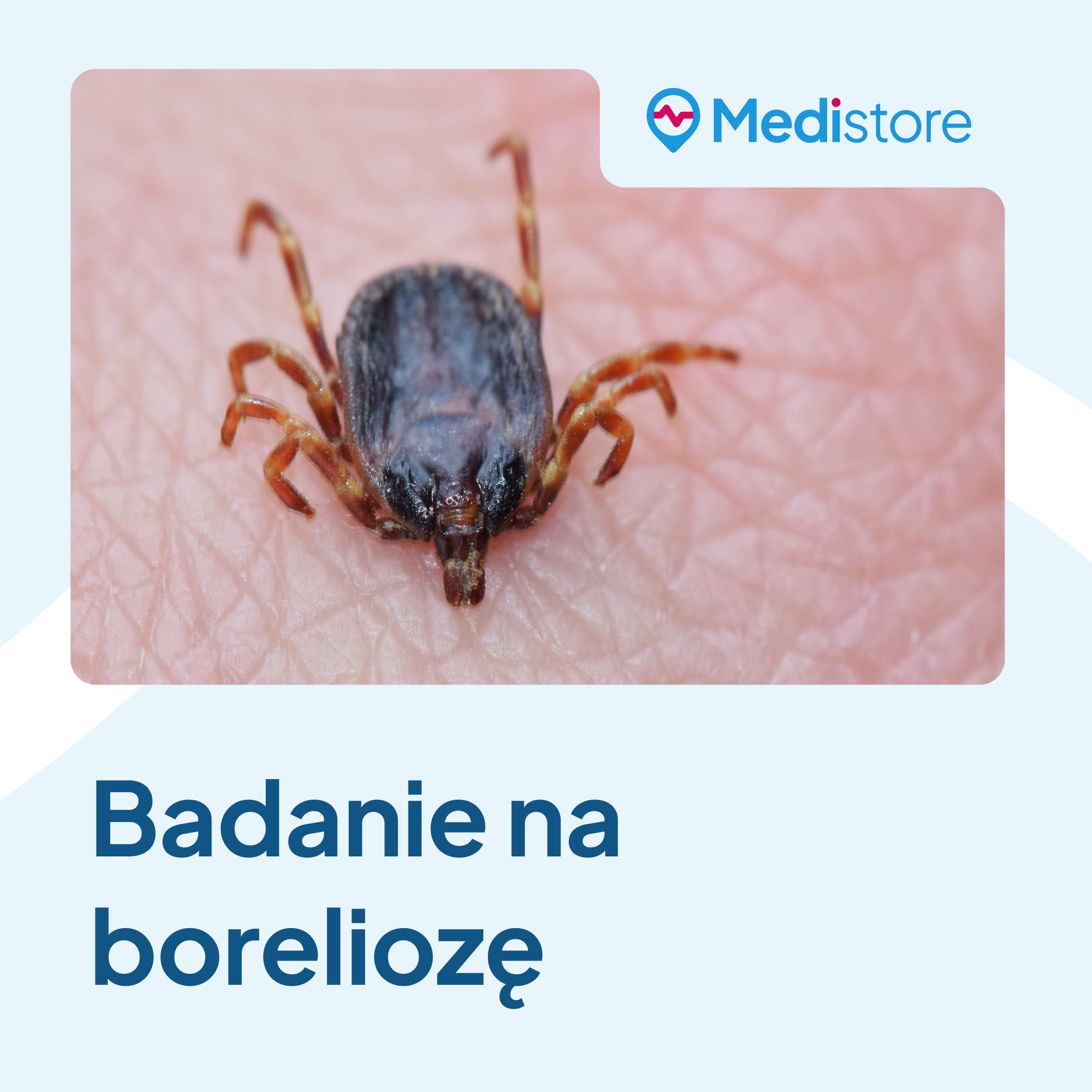Badanie na boreliozę