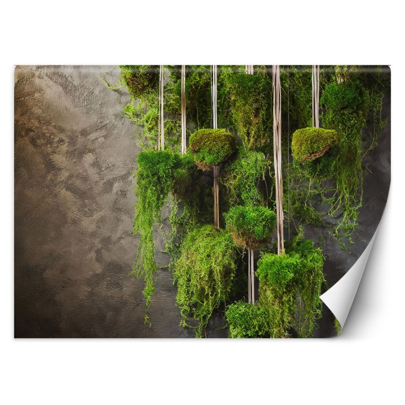 Fototapeta Feeby Botanika roślin mchu 100x70 1 szt