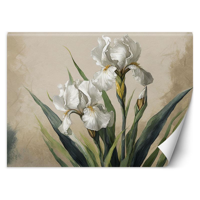 Fototapeta Feeby Białe kwiaty 200x140 1 szt