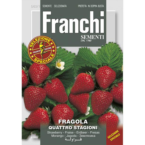 1 pac, Căpșuni Quattro Stagioni - Semințe: Mod de ambalare: 0.5 g