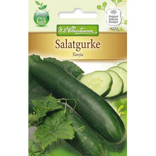 1 szt, Salatgurke Tanja - Samen: Ilość w opakowaniu: 1 Stück