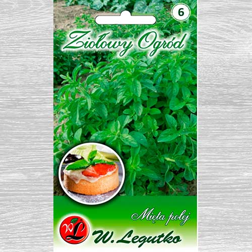 1 szt, Mięta polej Legutko - Nasiona: Ilość w opakowaniu: 0.1 g