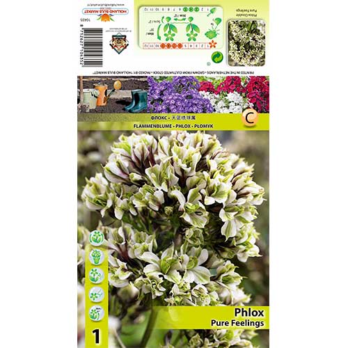 1 kus, Plaménka Pure Feelings - : Monžstvo balíkov: 1 kus