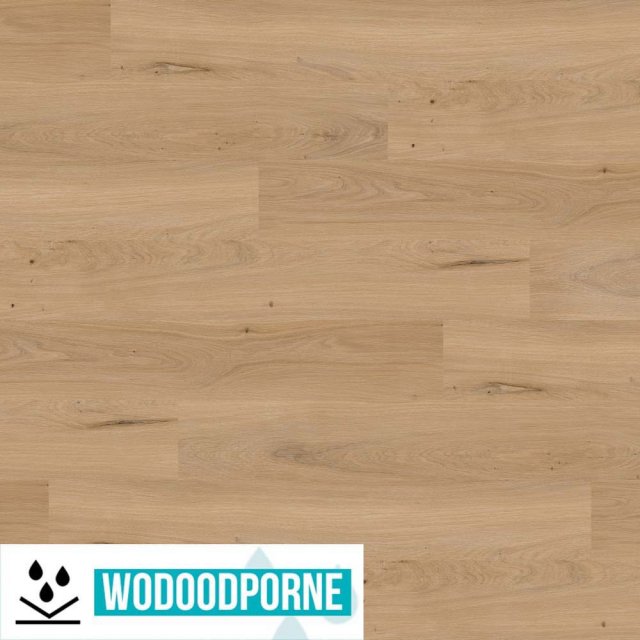 Panele winylowe SPC EPUFLOORING WOOD COMO KL 23-31 5 mm