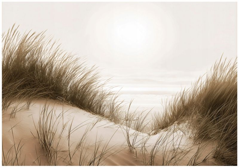 Fototapeta WALLARENA Do Sypialni Salonu Na Flizelinie Plaża Morze Natura 250x175 cm Tapeta Ścienna 1 szt.