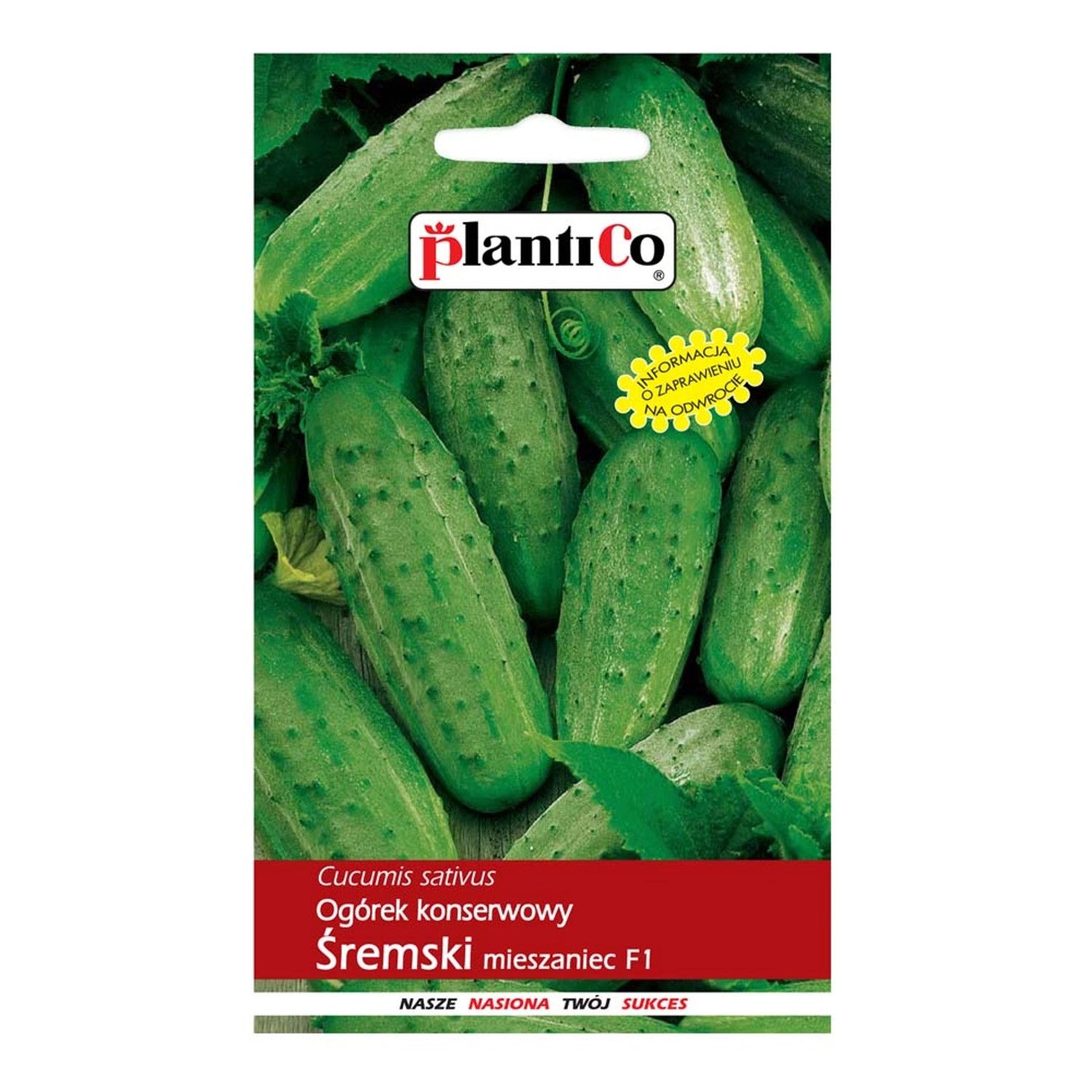 Ogórek gruntowy Śremski - 5 g
