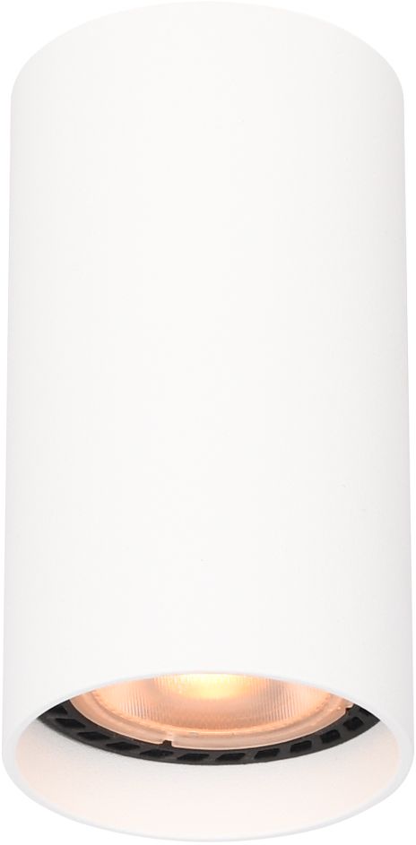 Italux Lopus lampa podsufitowa 1x10 W biała CLN-48930-S-WH