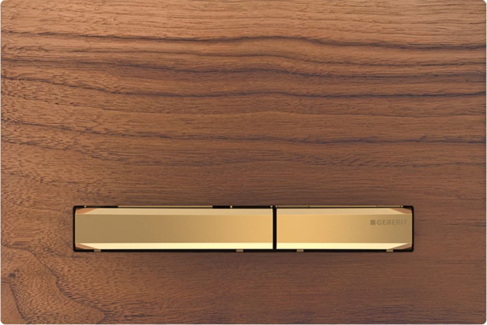 Geberit Sigma przycisk spłukujący do WC 115.672.JX.2