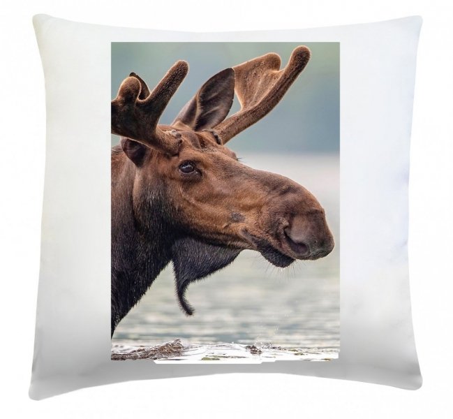 Poduszka dekoracyjna 40x40 wz. Łoś 2