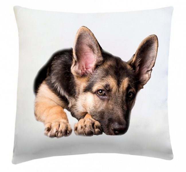 Poduszka dekoracyjna 40x40 wz. Pies2