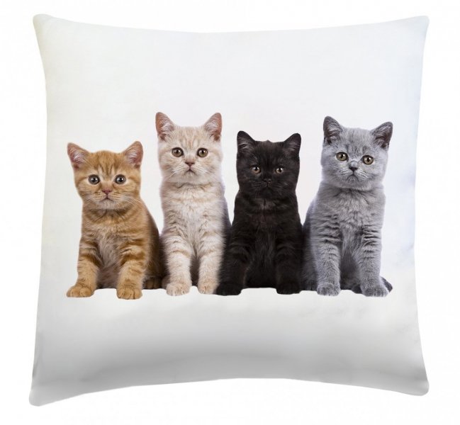 Poduszka dekoracyjna 40x40 wz. Kotki