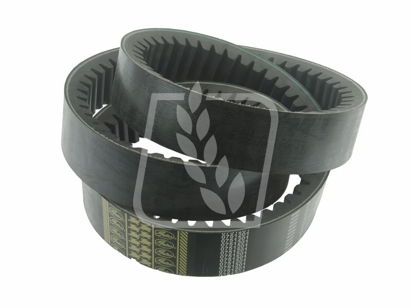 Pas wariatorowy 0751201 0751201