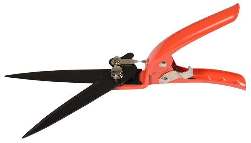 Nożyce do trawy Robi