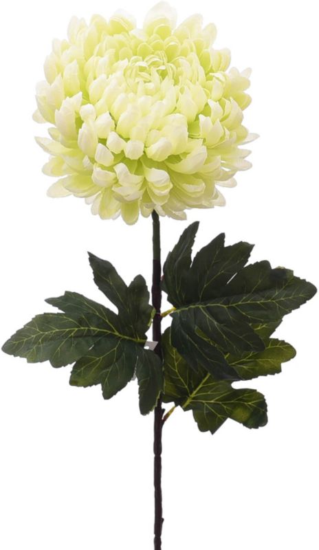 Chryzantema sztuczna Jumi pojedyncza pistacjowa 82 cm