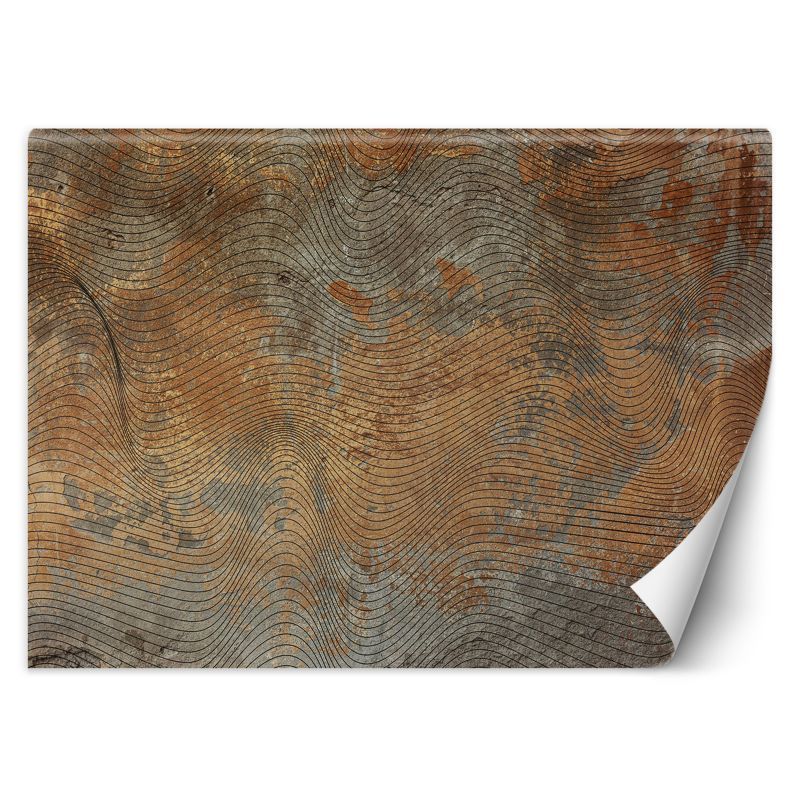 Fototapeta Feeby Złoty Szary Kształty Linie 150x105 1 szt