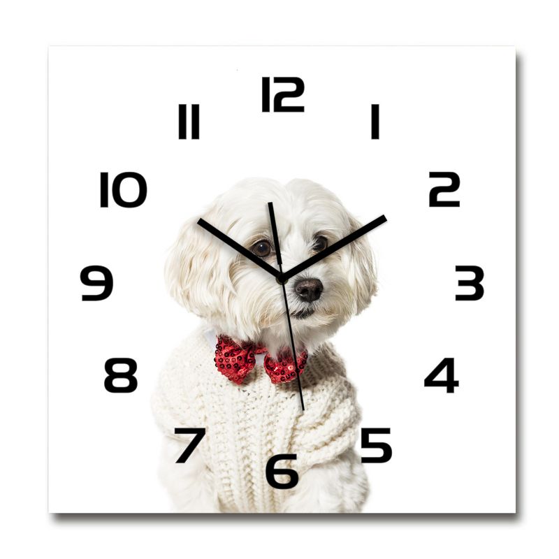 Zegar szklany Tulup Maltańczyk w muszce czarne wskazówki 30x30 cm cm cichy 1 szt.