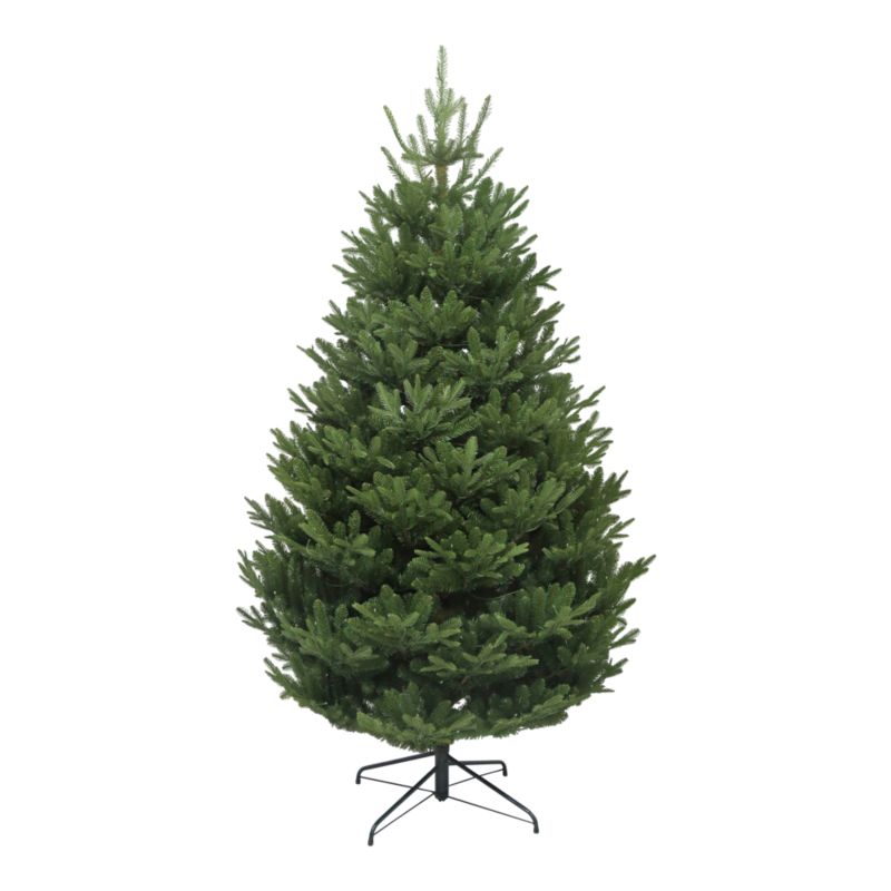 Choinka Fraser Fir 213 cm z lampkami led