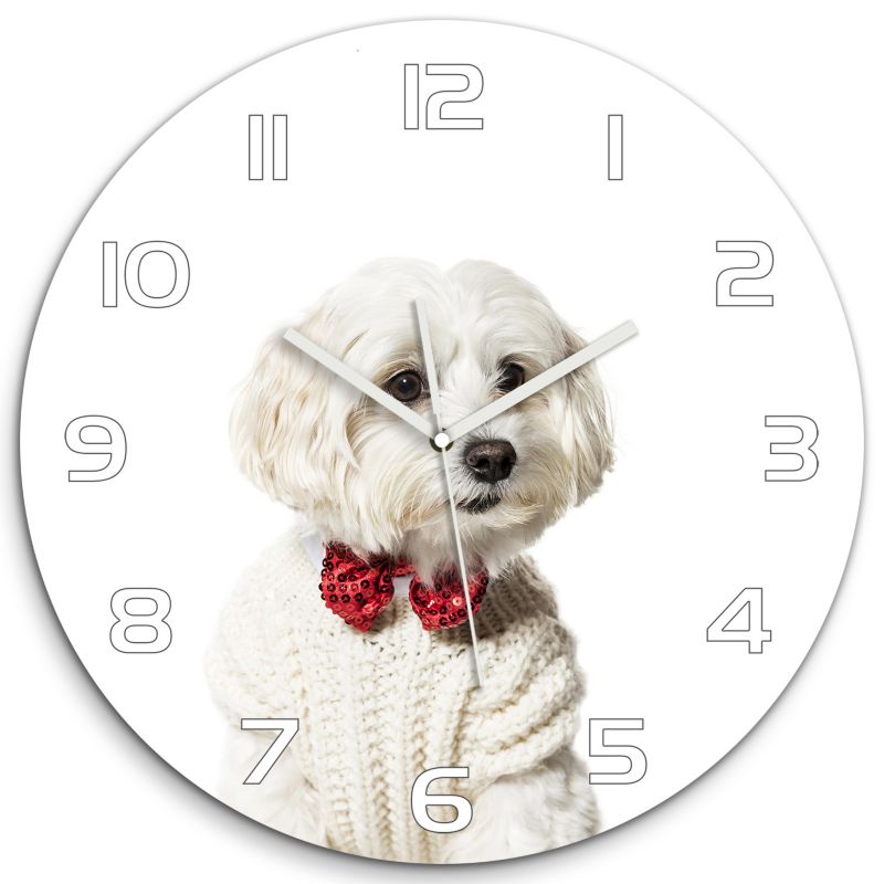 Zegar szklany Tulup Maltańczyk w muszce fi30 cm cichy 1 szt.