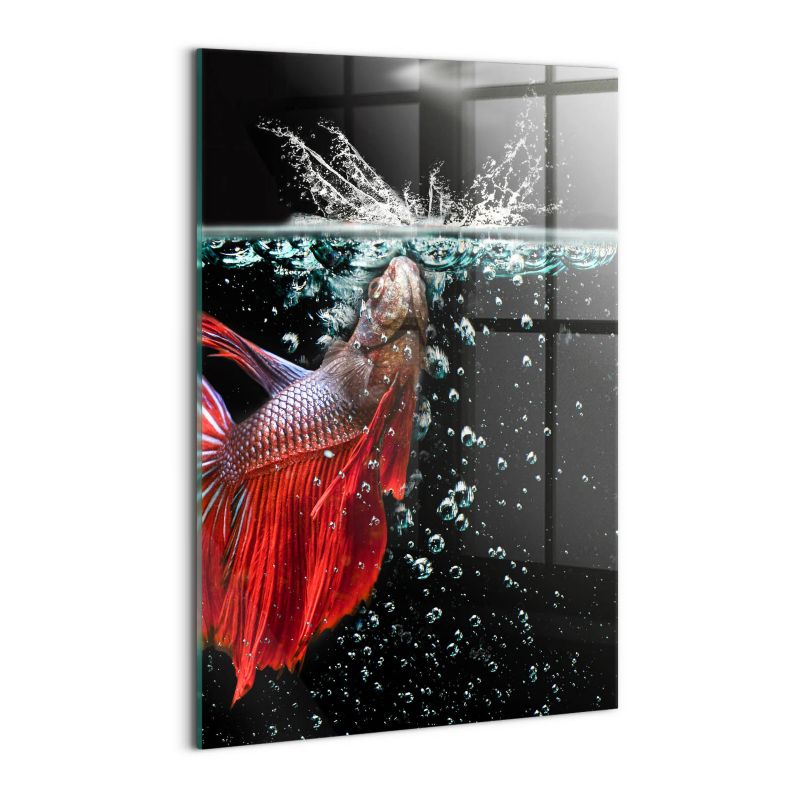 Szklany Obraz Ścienny Wallfluent 40x60 cm Ryba w akwarium 1 szt.