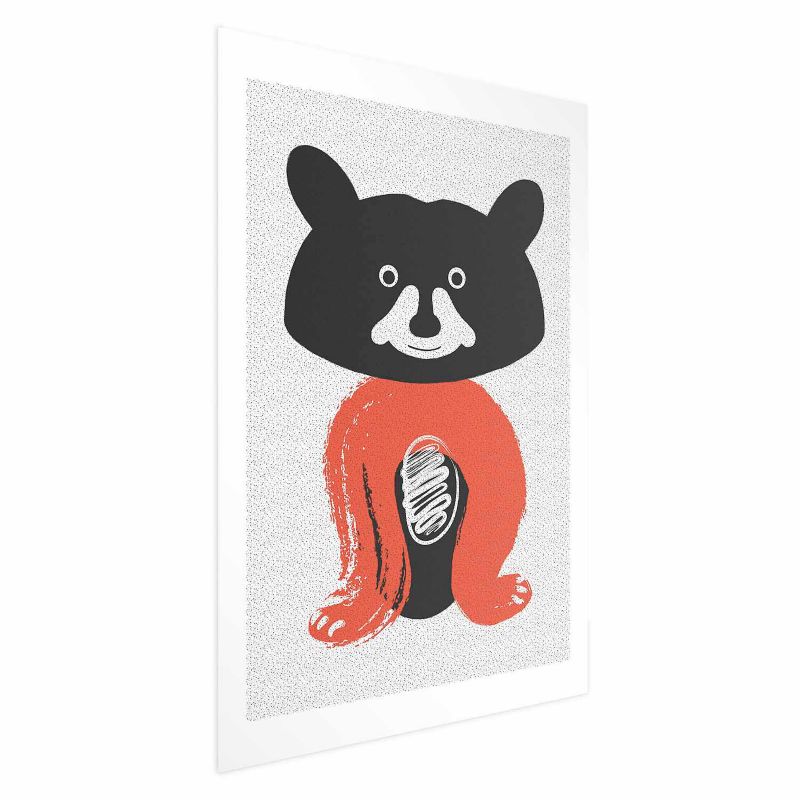 Plakat Artgeist Sympatyczny szop 40x60 cm bez ramy 1 szt