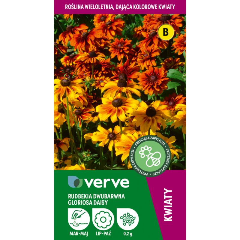 Nasiona jeżówka dwukolorowa Verve