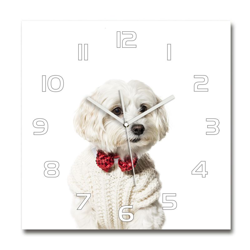 Zegar szklany Tulup Maltańczyk w muszce 30x30 cm cm cichy 1 szt.