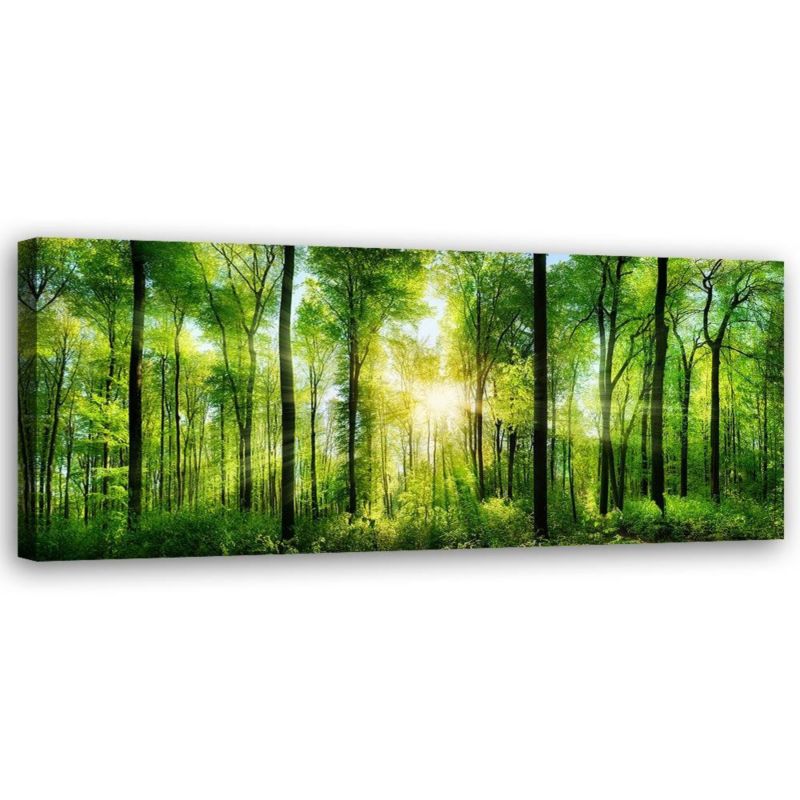 Obraz do salonu pokoju biura Feeby Las Natura Zielony 120x40cm 1szt