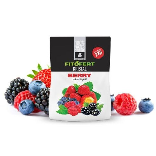 500 g, Nawóz do roślin jagodowych Fitofert Kristal Berry - : Ilość w opakowaniu: 500 g
