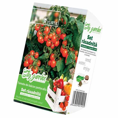 1 szt, Zestaw nasion Pomidorów na balkon - pomarańczowych - Nasiona: Ilość w opakowaniu: 1 opak