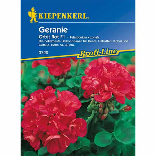 Pelargonia rabatowa Orbit F1 - Nasiona. Ilość w opakowaniu: 1 opak - GradinaMax