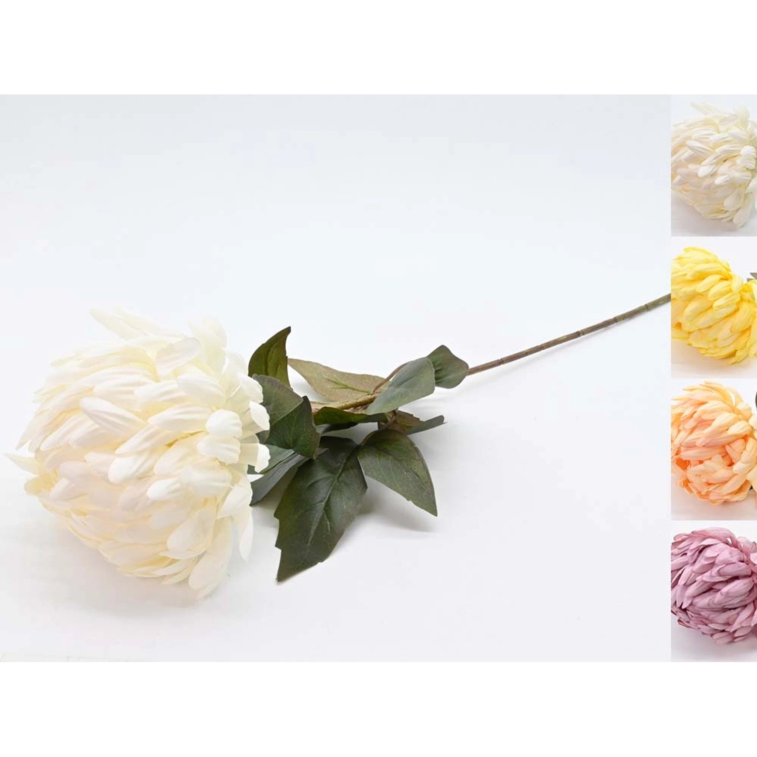 Chryzantema pojedyncza - 66 cm