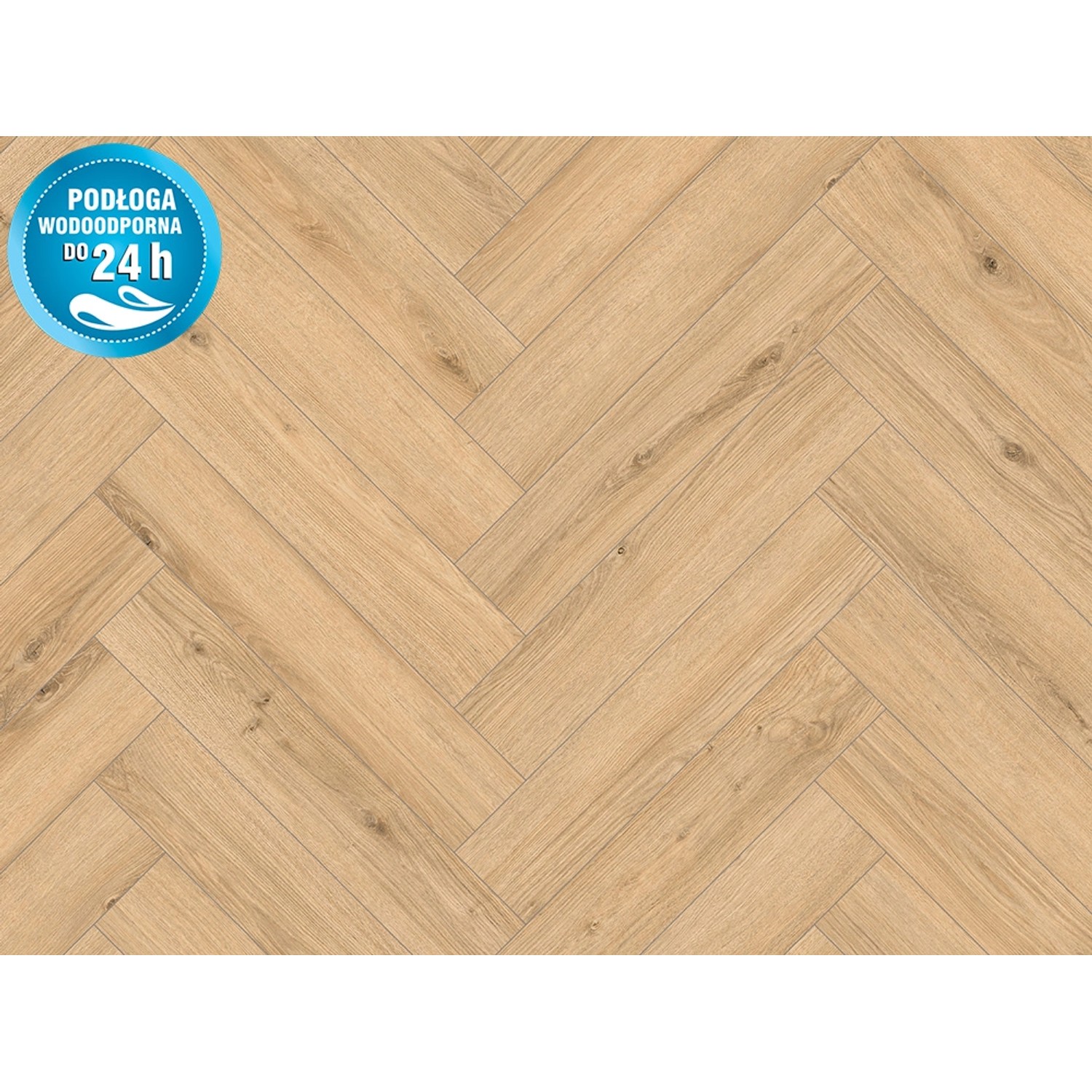 Classen Panel podłogowy Dab Cetina 8 mm AC 5 FV