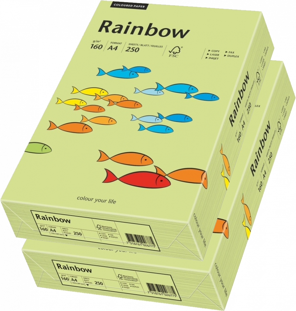 2x Papier ksero ekologiczny Rainbow, A4, 160g/m2, 250 arkuszy, zielony jasny (R74)