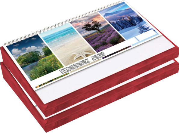 2x Kalendarz 2026 na biurko z piórnikiem Udziałowiec, 195x300mm, tygodniowy, czerwony