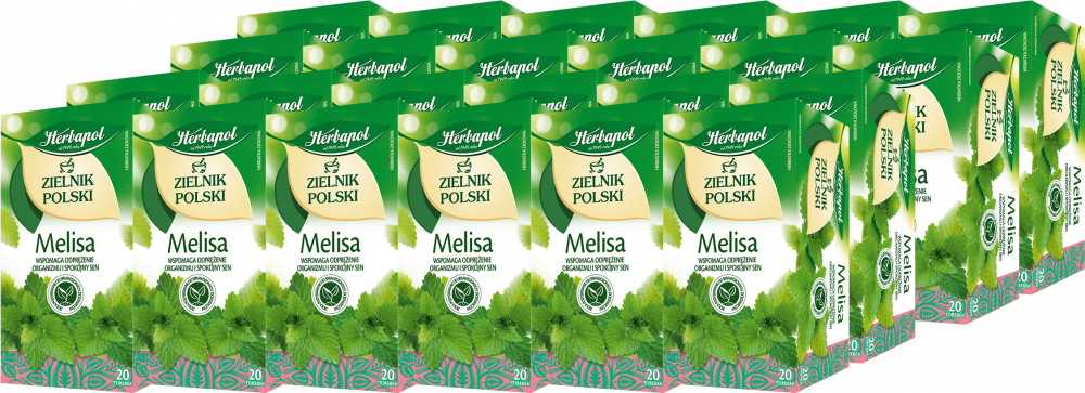 24x Herbata ziołowa w torebkach Herbapol Zielnik Polski, melisa, 20 sztuk x 2g