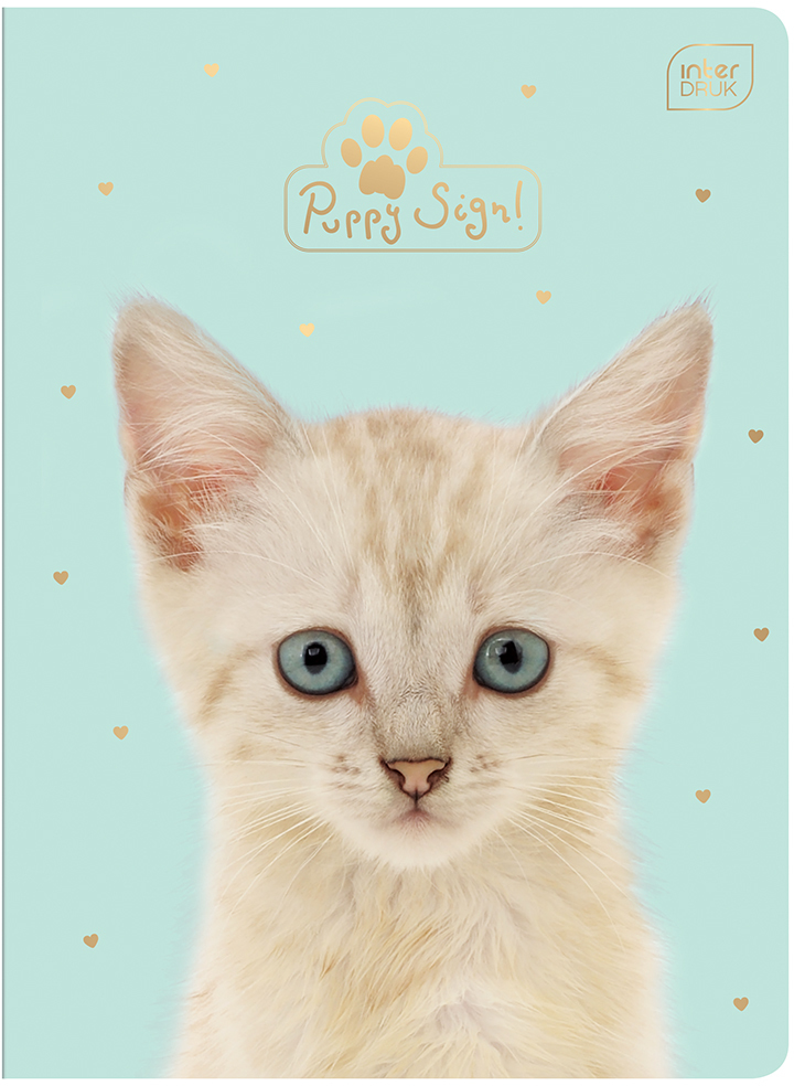 Zeszyt w kratkę Interdruk UV Puppy Sign, A5, 32 kartki, mix wzorów