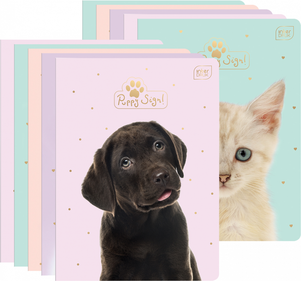 10x Zeszyt w kratkę Interdruk UV Puppy Sign, A5, 32 kartki, mix wzorów
