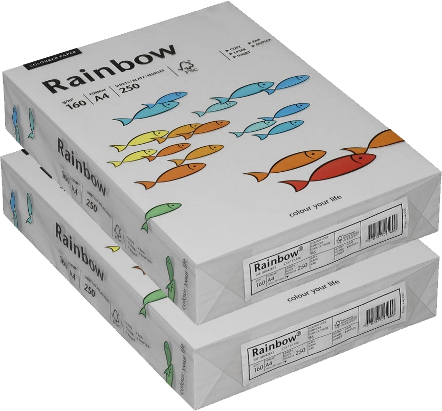 2x Papier ksero ekologiczny Rainbow, A4, 160g/m2, 250 arkuszy, szary (R96)