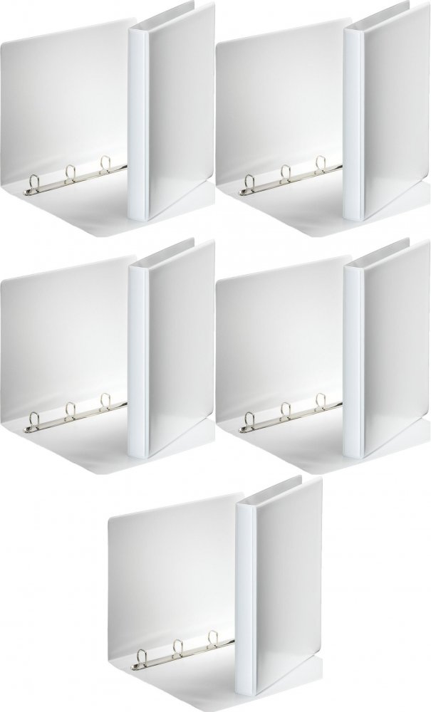 5x Segregator prezentacyjny Esselte Panorama, A4, szerokość grzbietu 38mm, 180 kartek, 4 ringi, biały