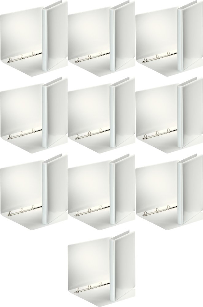 10x Segregator prezentacyjny Esselte Panorama, A4, szerokość grzbietu 30mm, do 140 kartek, 4 ringi, biały