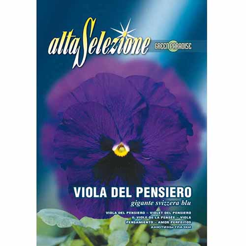 1 szt, Árvácskák Swiss Giant kék - Magok: Mod de ambalare: 1 db