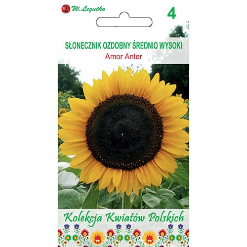 1 szt, Sonnenblume Amor Anter - Samen: Ilość w opakowaniu: 2 g