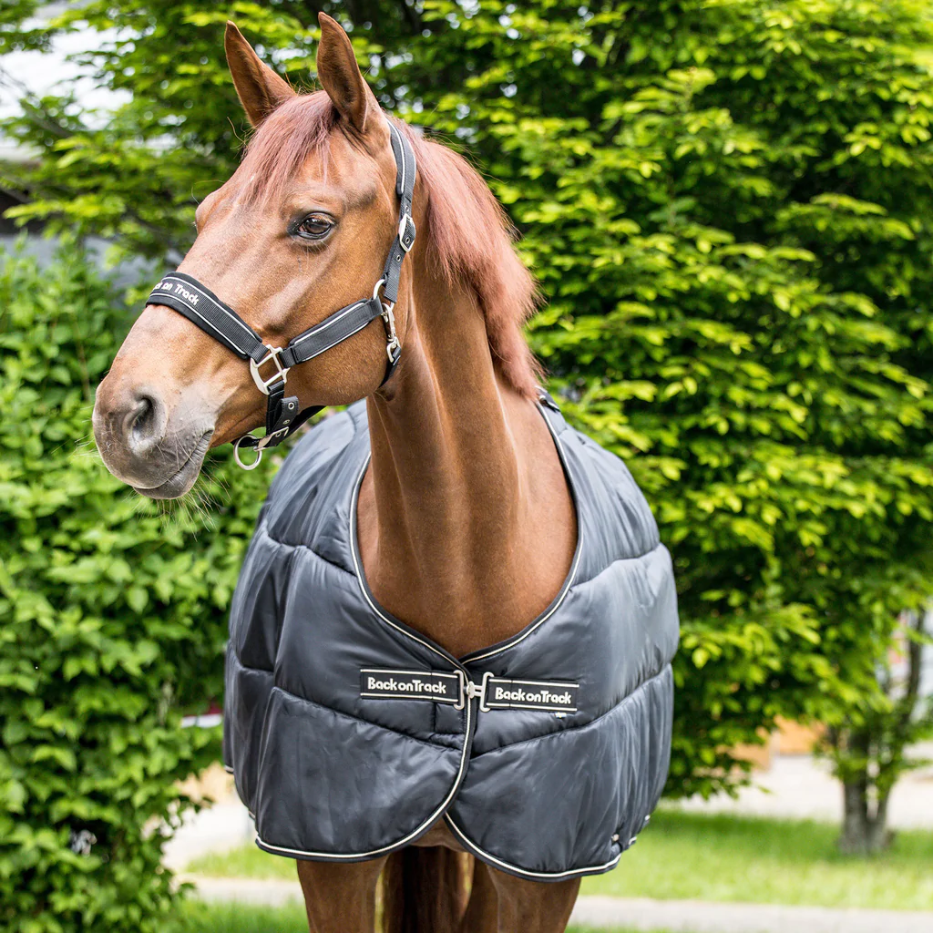 Back on Track Back on Track podpinka Rhyolite 100g pod derkę