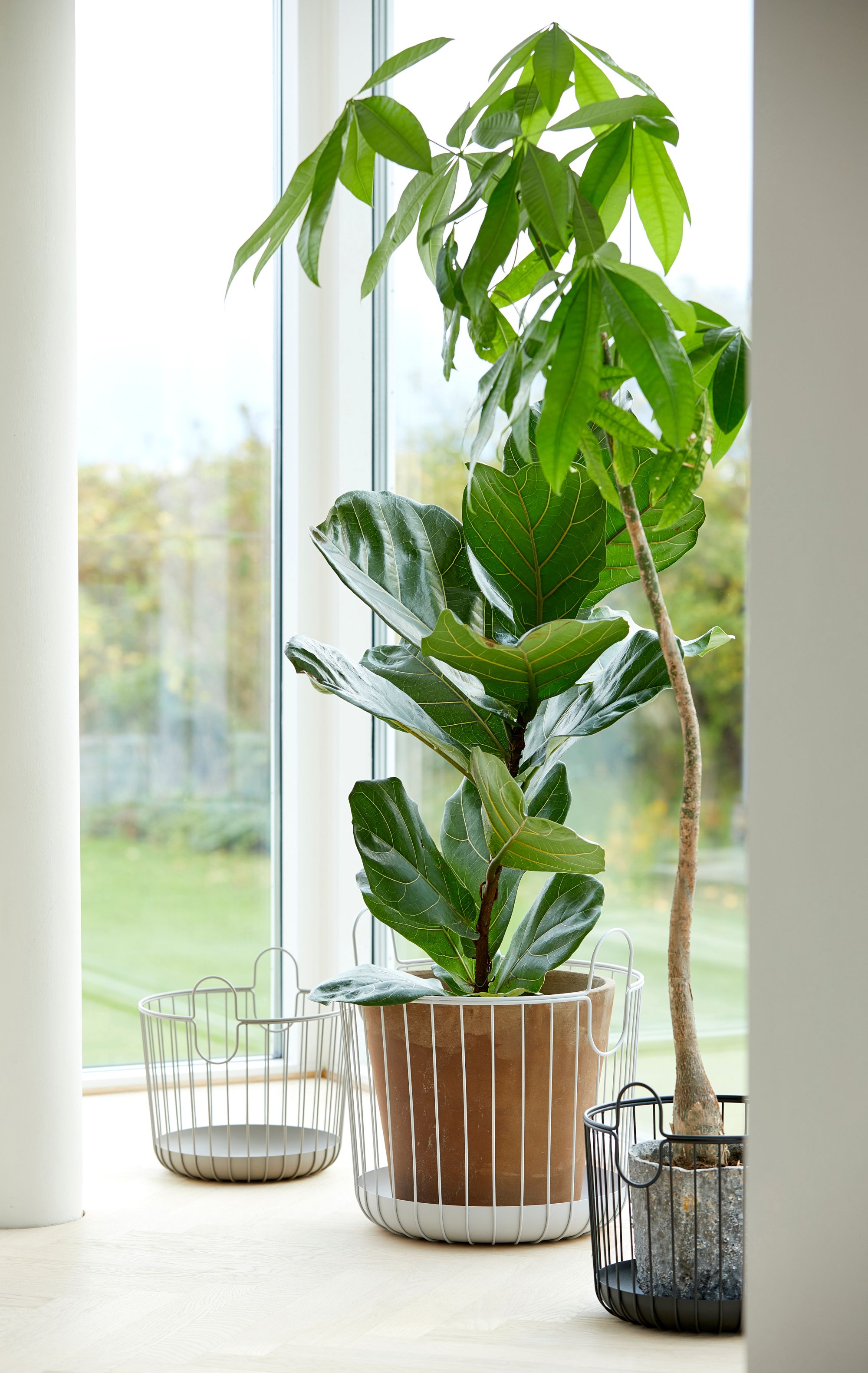 Zone Denmark Inu koszyk łazienkowy szary 10551