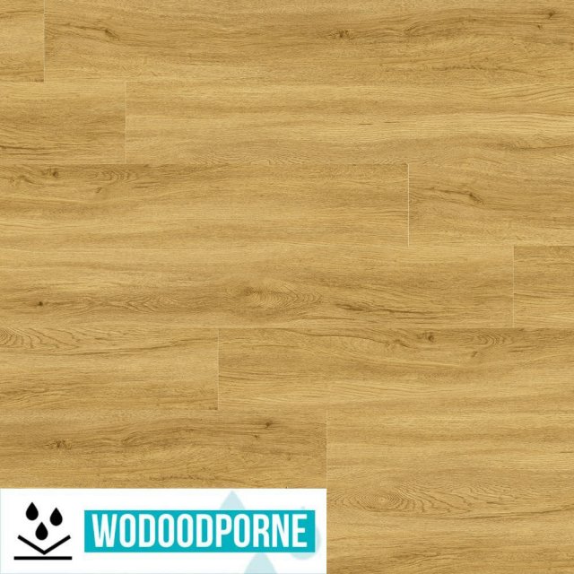 Panele winylowe SPC HOME INSPIRE MINDORO KL 23-31 4 mm