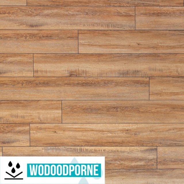 Panele winylowe SPC BESTLAMINATE ADDURI DĄB ZŁOTY KL 23-33 5 mm